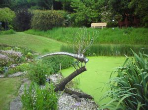 Downtail dragonfly at Hookshouse Pottery May 2015