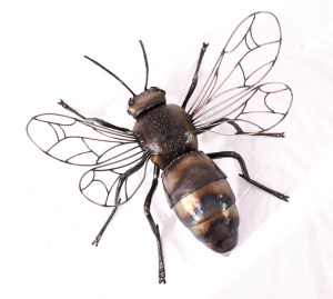 photo credit: Carrie Hitchcock