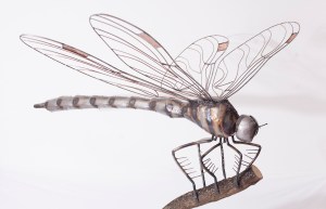 photo credit: Carrie HItchcock 