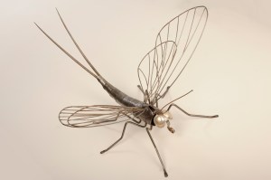 mayfly (38 x 35 inches)