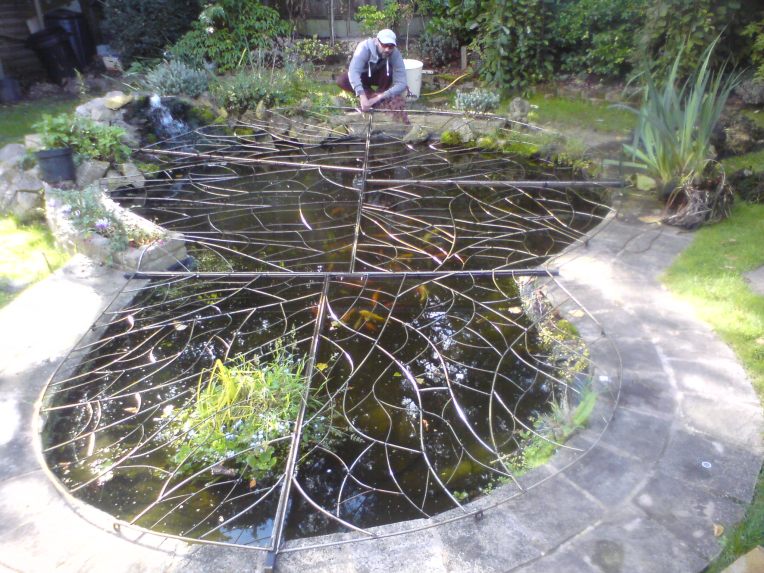 Pond cover Autumn 2016